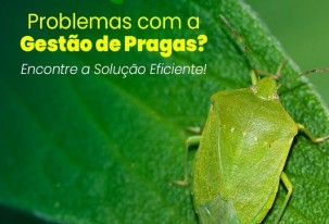 Monitoramento de pragas