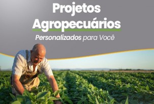 Elaboração de projetos agropecuário