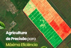 Agricultura de precisão